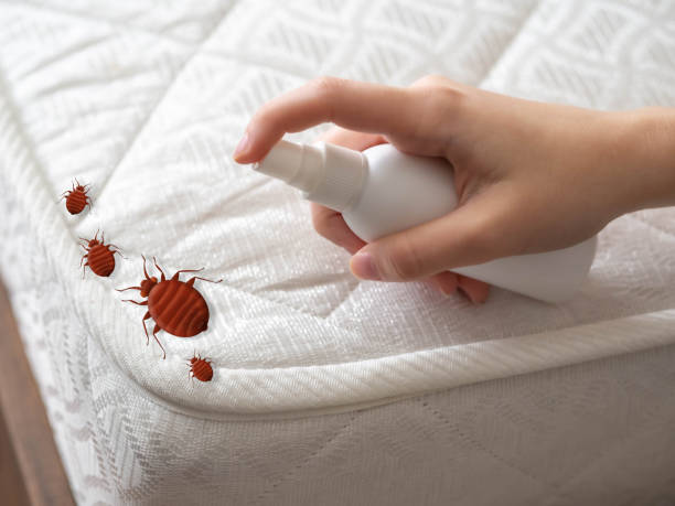 Best Pest Prevention Services  in Savage, MN